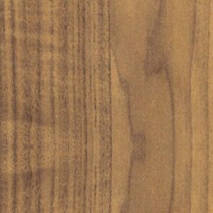 LAVES-EPIPLON-25996S93S93-CONVEX