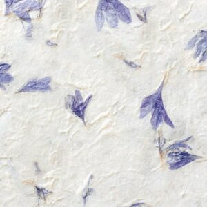 AKRITAS-CARTA-DI-RISO-25