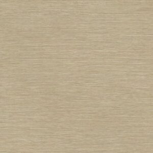 880-p9-aoos-decor