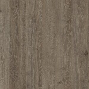 Pagkos-koyzinas-Egger-h3133-st12