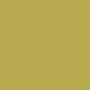 portakia-praxitelis-hpl-MOD 7140 SUPER MAT