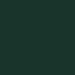 Επιφάνεια Egger U699 ST9 Fir Green