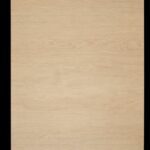 Compact QTM 602 Boemia