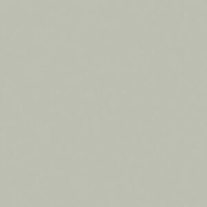 gizir-ultra-high-gloss-solid-6037-light grey